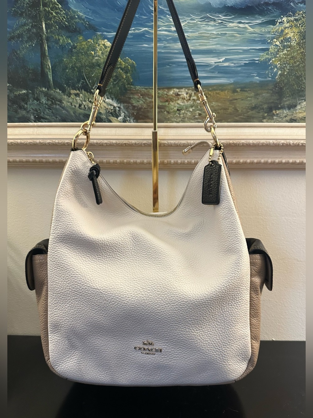 Coach Pennie Shoulder Bag in Colorblock Pebbled Leather
